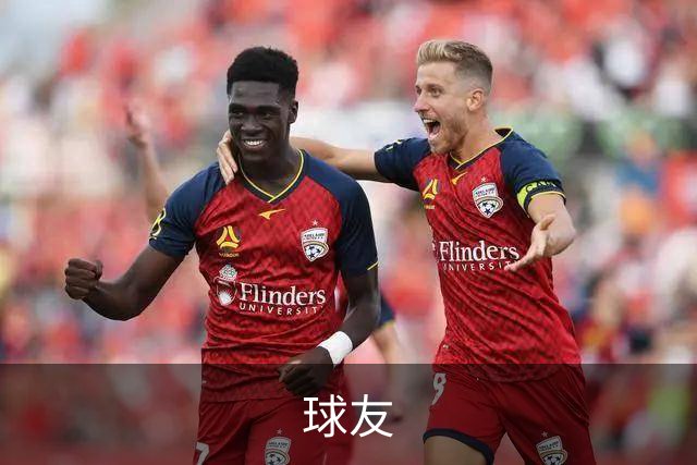 球友 公司简介